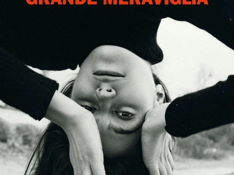 Grande Meraviglia di Viola Ardone (Einaudi) di Vincenzo&nbsp;Vacca