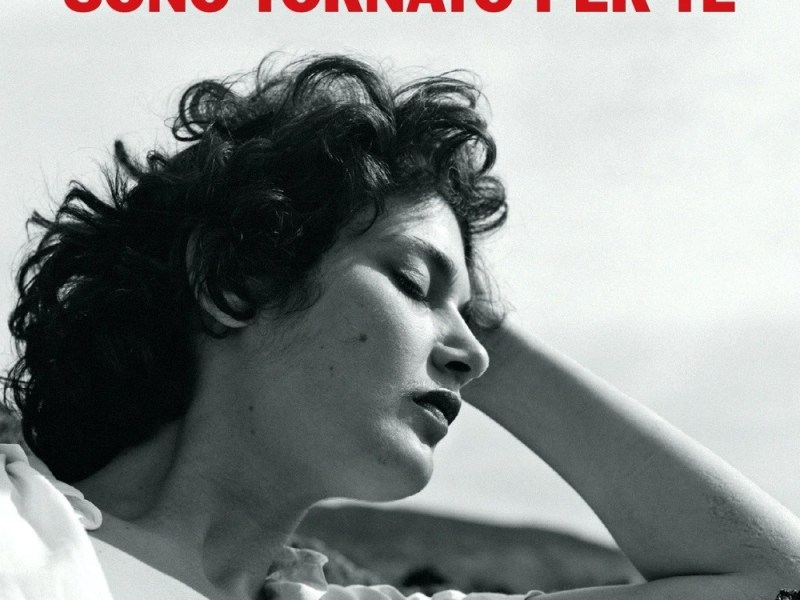 Sono tornato per te di Lorenzo Marone (Einaudi) di Vincenzo&nbsp;Vacca