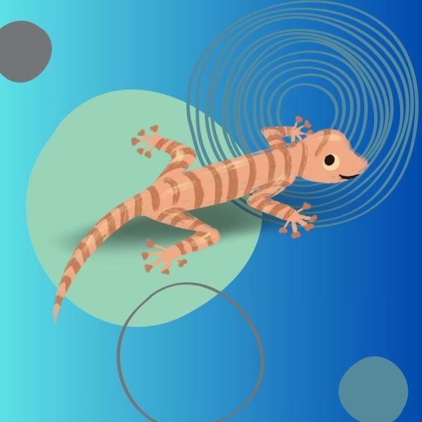 Diego e Margherita intervistano la signora Geco di Cinzia&nbsp;Milite