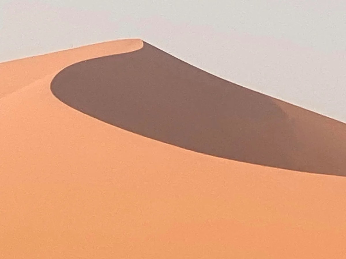 Un fatterello algerino, di Gigi&nbsp;Agnano