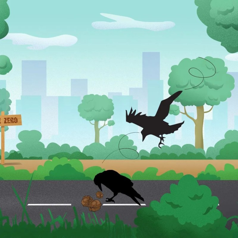 Diego e Margherita intervistano la Signora e il Signor Cornacchia, di Cinzia&nbsp;Milite