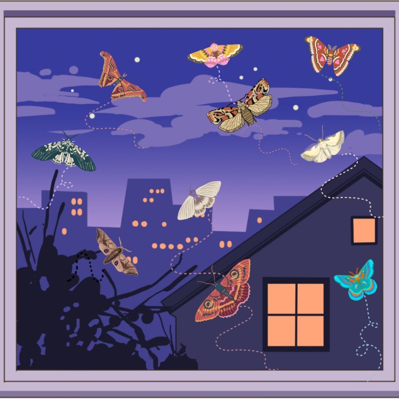 Diego e Margherita intervistano la Signora Falena, di Cinzia&nbsp;Milite