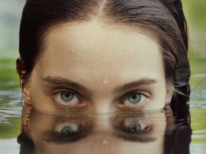 L’incipit di “Triste tigre” di Neige Sinno, trad. dal francese di Luciana Cisbani (Neri&nbsp;Pozza)