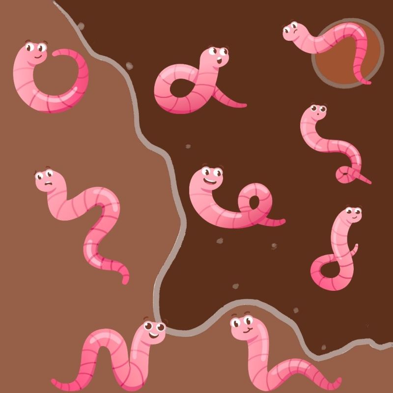 Diego e Margherita intervistano il Signor Lombrico, di Cinzia&nbsp;Milite