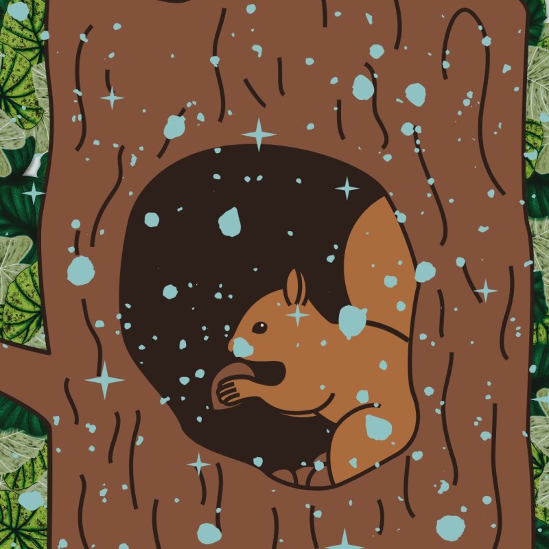 Diego e Margherita intervistano il Signor Scoiattolo, di Cinzia&nbsp;Milite