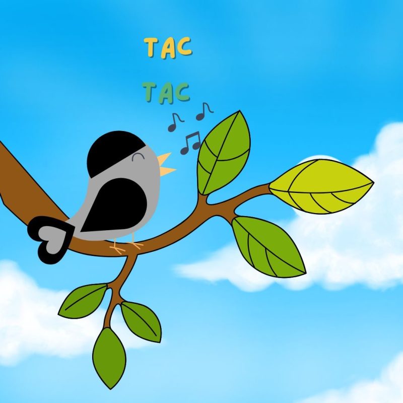 Diego e Margherita intervistano il signor Capinera, di Cinzia&nbsp;Milite