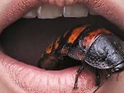 Elle Nash: “Frutto del tuo ventre” (Pidgin, 2026, trad. Stefano Pirone), di Valeria&nbsp;Jacobacci