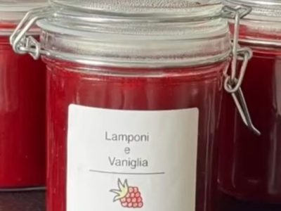Ricette Letterarie: i lamponi di Tolstoj, di Anne Baker&nbsp;(video)